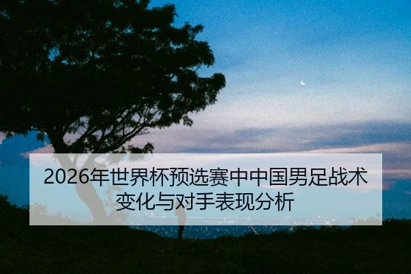 nian-shi-jie-bei-yu-xuan-sai-zhong-zhong-guo-nan-zu-zhan-shu-bian-hua-yu-dui-shou-biao-xian-fen-xi-2-316.jpg