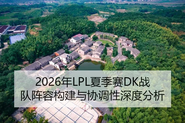 2026年LPL夏季赛DK战队阵容构建与协调性深度分析