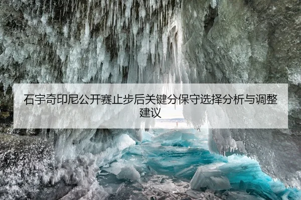 shi-yu-qi-yin-ni-gong-kai-sai-zhi-bu-hou-guan-jian-fen-bao-shou-xuan-ze-fen-xi-yu-tiao-zheng-jian-yi-2-504.jpg